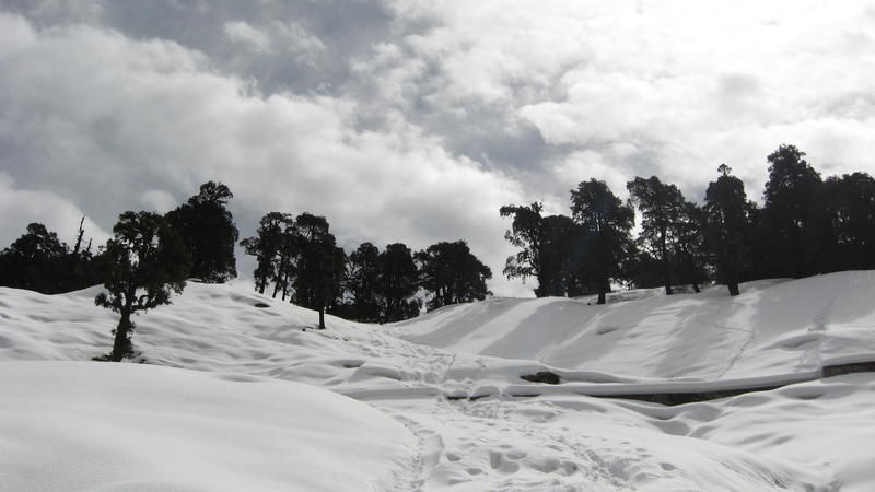 Photo of Chopta, Uttarakhand, India by Prajesh Rawat