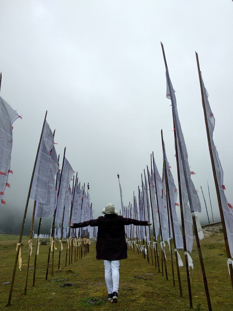 Photo of Zero Point Yumthang Valley, Sikkim, India by pankhi lahkar
