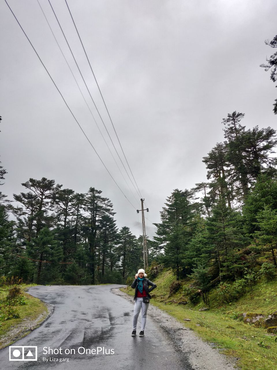 Photo of Zero Point Yumthang Valley, Sikkim, India by pankhi lahkar