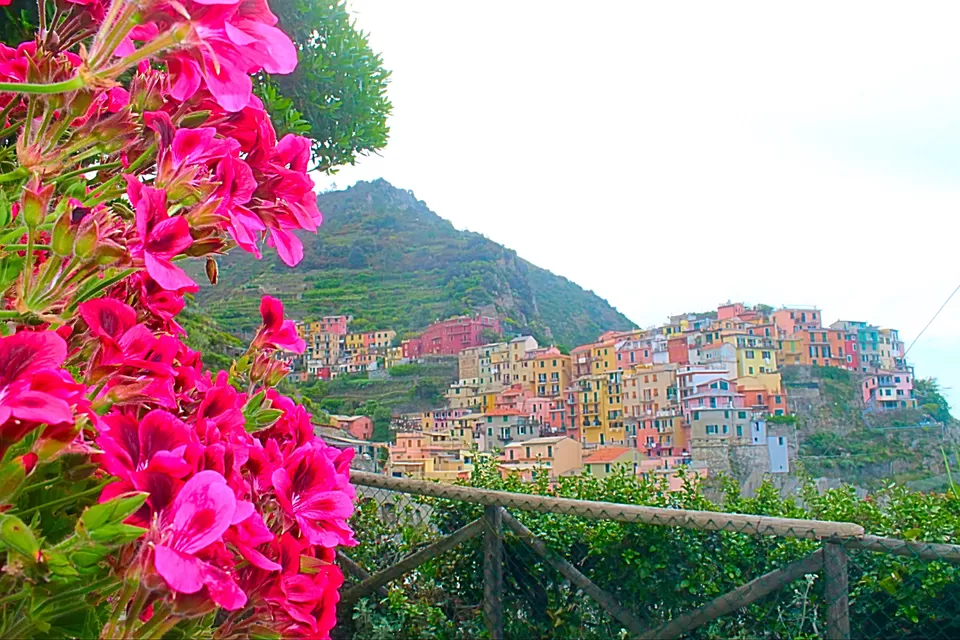 Photo of Manarola, Province of La Spezia, Italy by Ankita Gupta