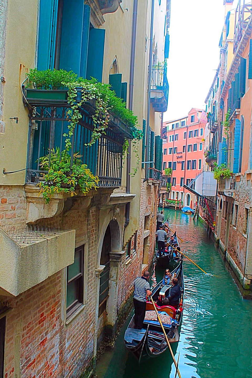 Photo of Venice and its two jewels: Murano and Burano 20/45 by Ankita Gupta