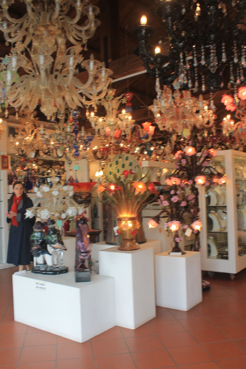 Photo of Venice and its two jewels: Murano and Burano 29/45 by Ankita Gupta