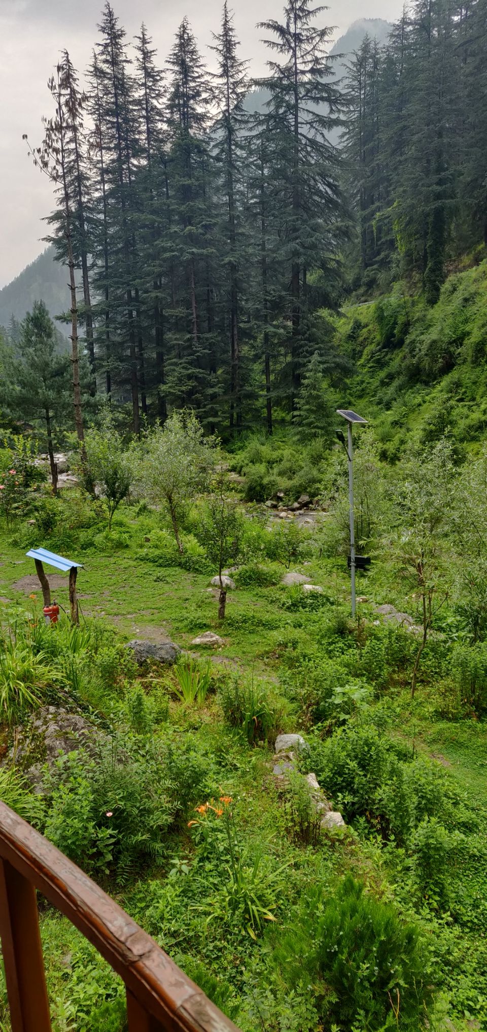 Photo of A Mesmerizing Trip to Tirthan by Megha Mathur