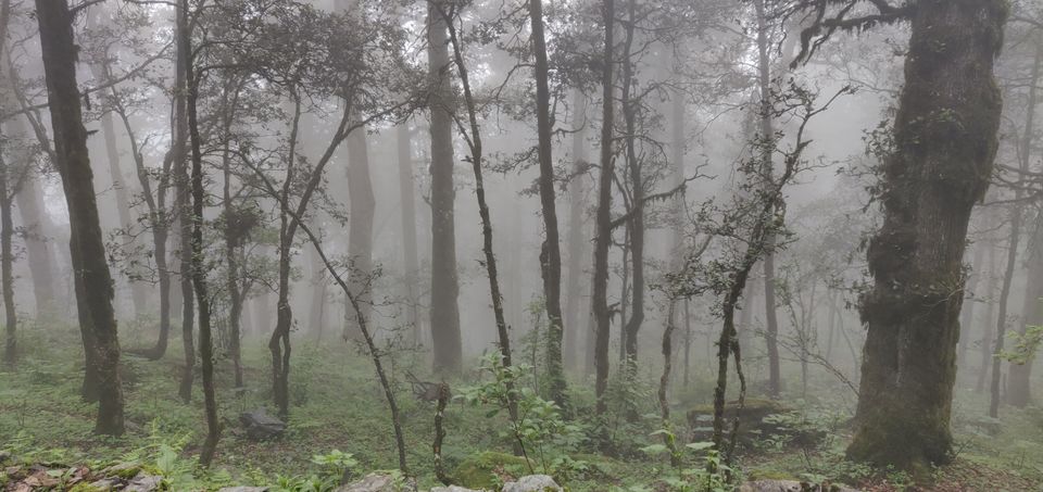 Photo of A Mesmerizing Trip to Tirthan by Megha Mathur