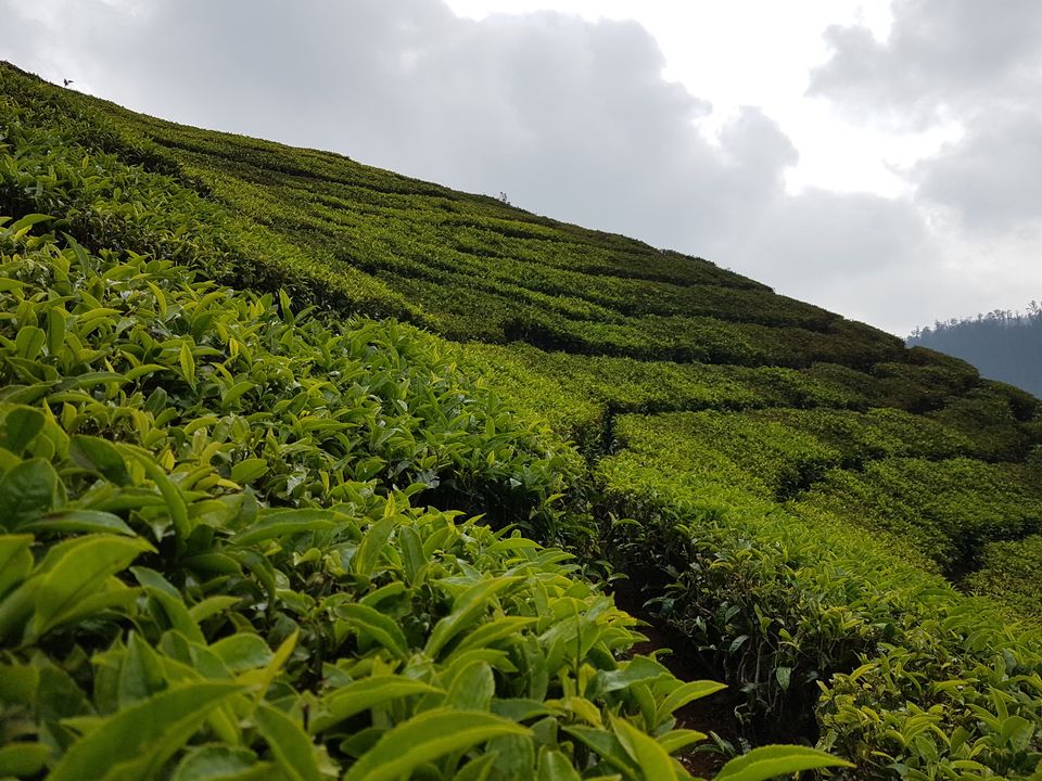 Photo of OYO 23425 Ooty Residency, Road, Ooty, Tamil Nadu, India by Prakash Pali