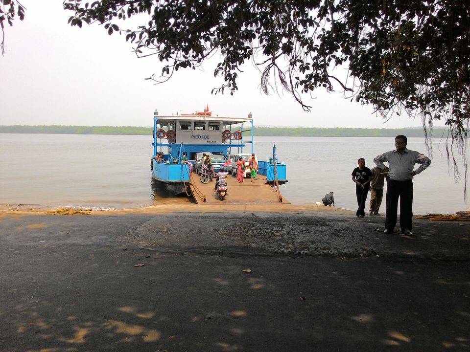 Photo of Dolphin watching boat tour in goa, Aguada Fort Area, Candolim, Goa, India by Prakash Pali