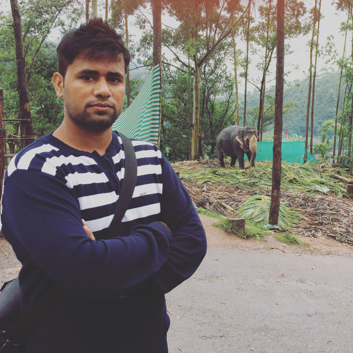 Photo of Stunning South India Tour - 2015 31/58 by Ankit Dhiman