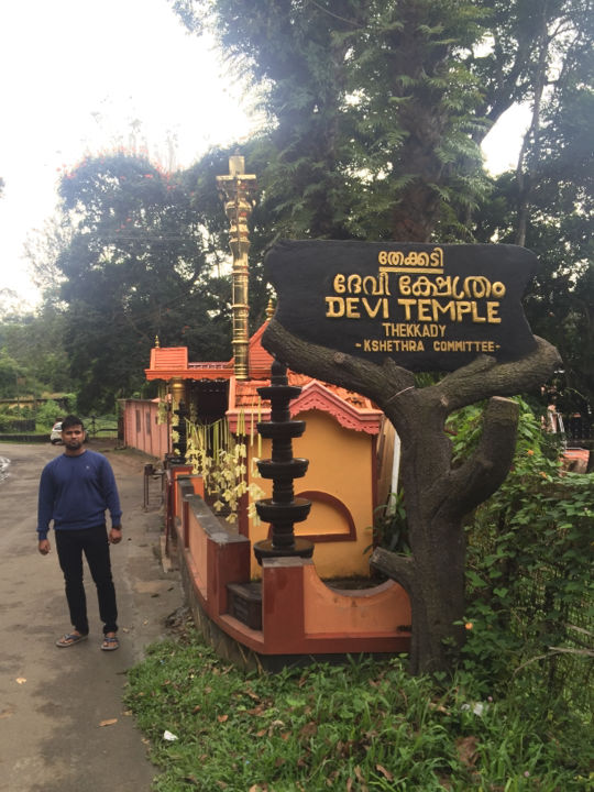 Photo of Stunning South India Tour - 2015 35/58 by Ankit Dhiman