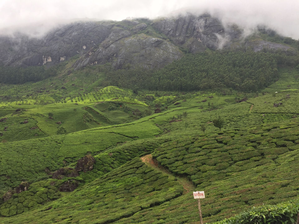 Photo of Stunning South India Tour - 2015 43/58 by Ankit Dhiman