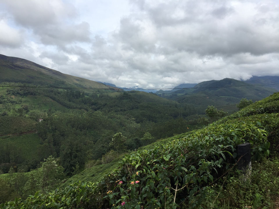 Photo of Stunning South India Tour - 2015 46/58 by Ankit Dhiman