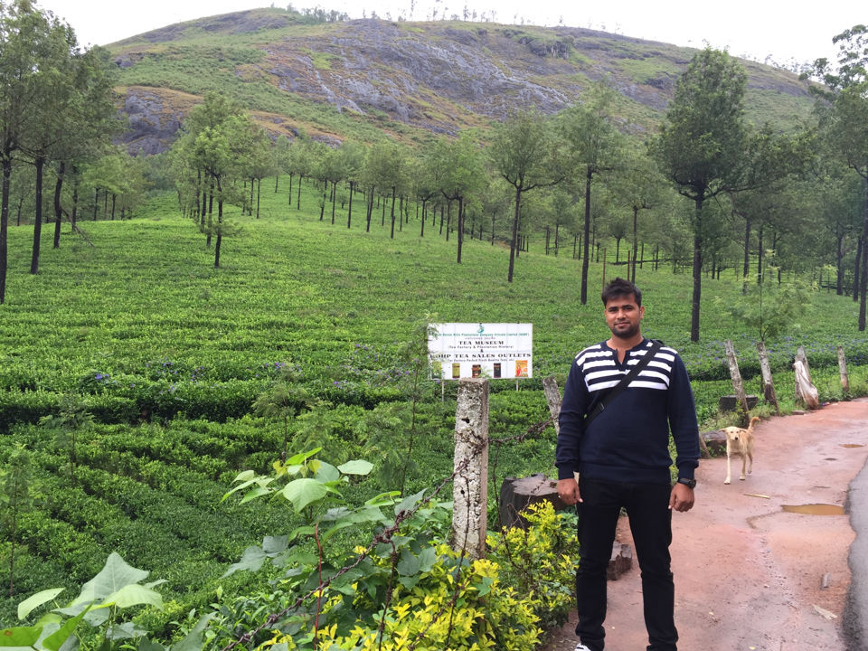 Photo of Stunning South India Tour - 2015 51/58 by Ankit Dhiman