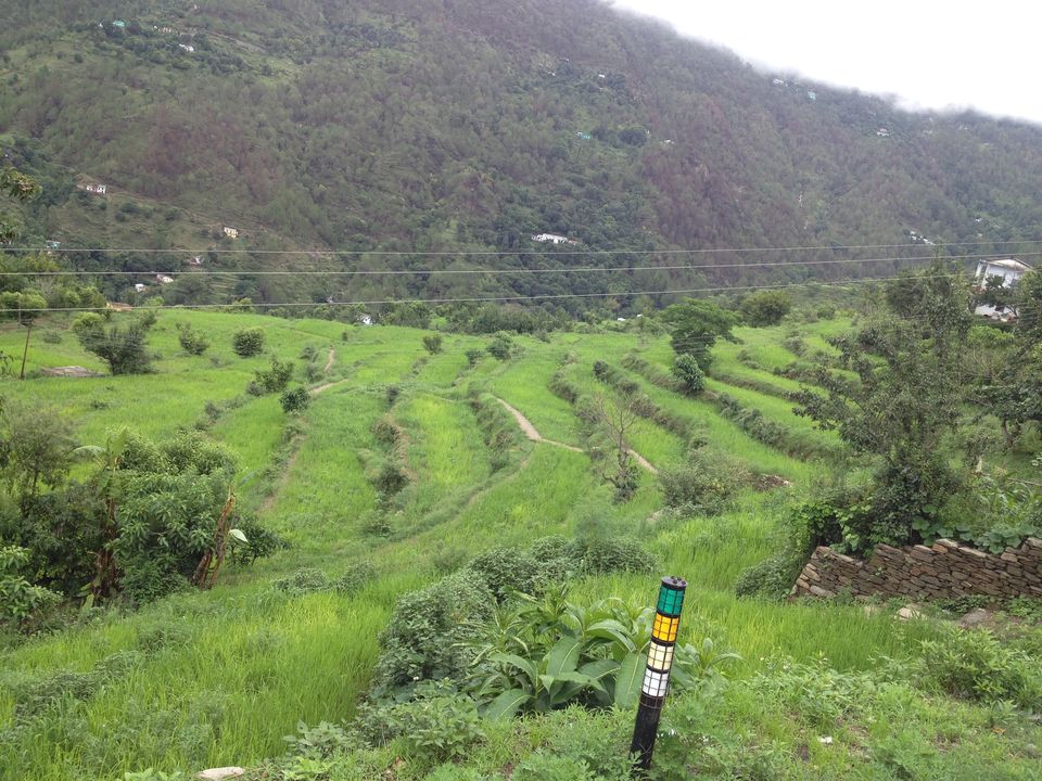 Photo of Backpacking in Ranikhet, UK 20/23 by Prashant K Haldar