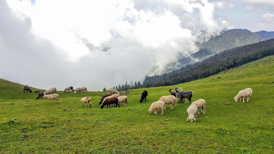 Photo of Banjar Valley Part II | Sojha 10/11 by Sambhav Poddar
