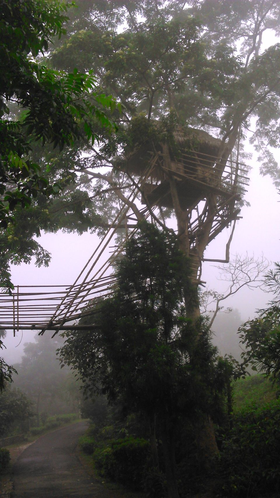 Photo of When Luck gets it Going | Meghalaya 16/20 by Sambhav Poddar