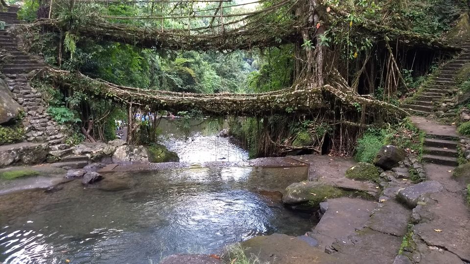 Photo of Nongriat, Meghalaya, India by Sambhav Poddar