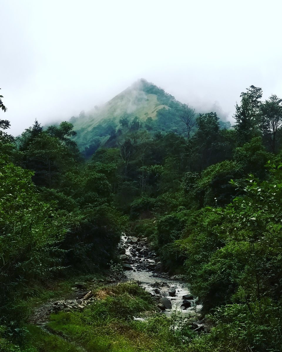 Photo of Dzükou Valley, Nagaland, India by Sambhav Poddar