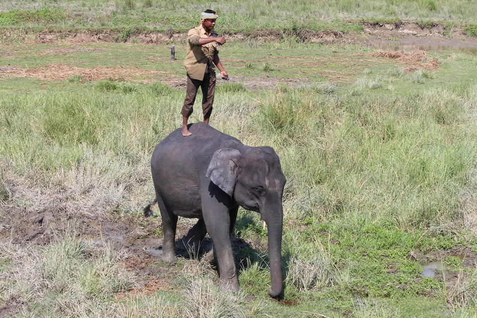 Photo of Kaziranga National Park, Assam, India by Sambhav Poddar