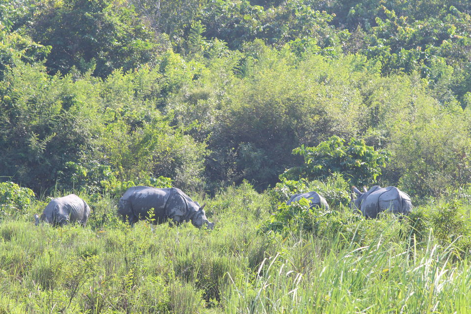 Photo of Kaziranga National Park, Assam, India by Sambhav Poddar