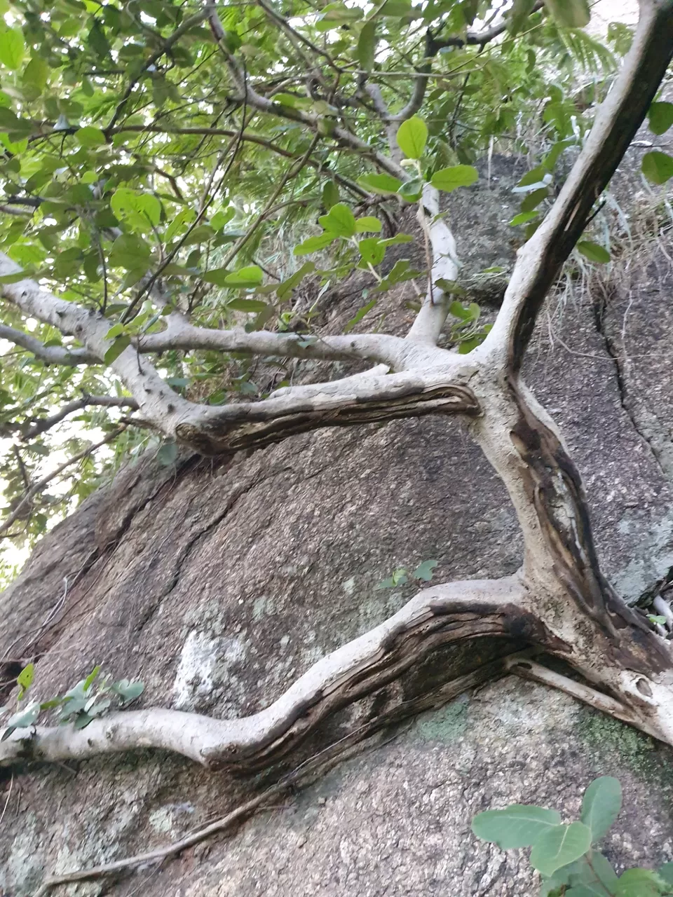 Photo of Rahe-The Unseen beauty of Jharkhand by Priyanshu kr Singh