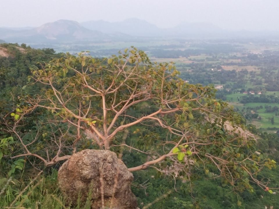 Photo of Rahe-The Unseen beauty of Jharkhand by Priyanshu kr Singh