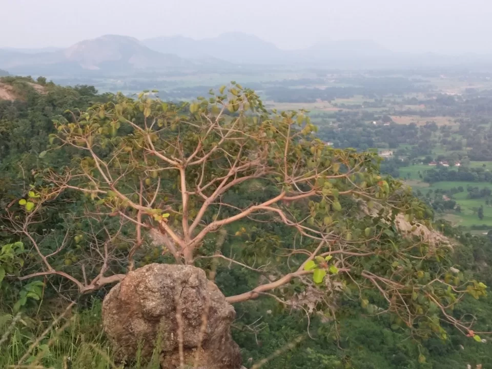 Photo of Rahe-The Unseen beauty of Jharkhand by Priyanshu kr Singh