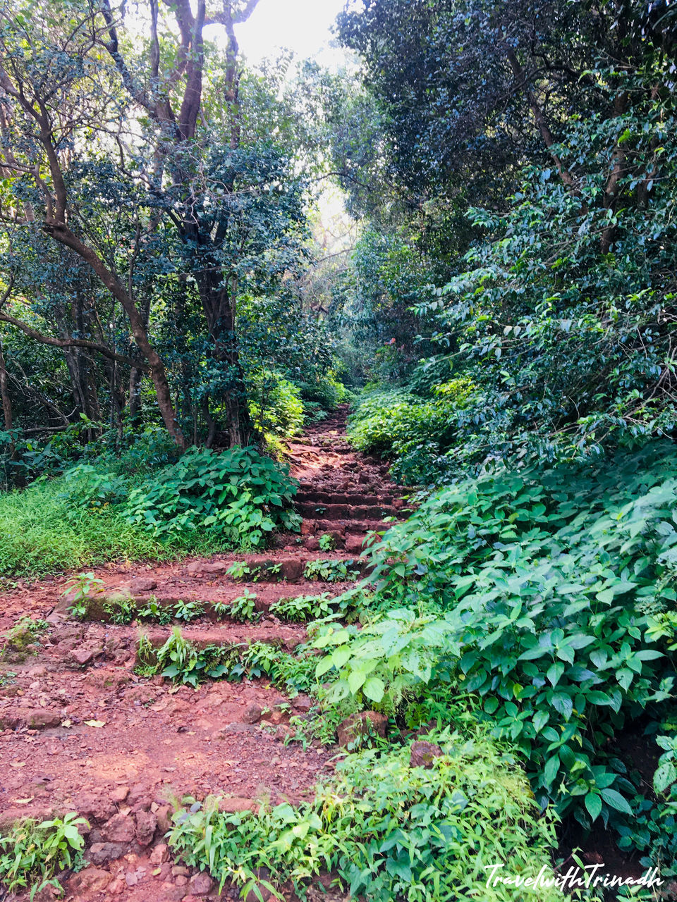 Photo of SAHYADRIS: THE BENEVOLENT MOUNTAINS -
Road Trip to Maharashtra 25/30 by Travel with Trinadh