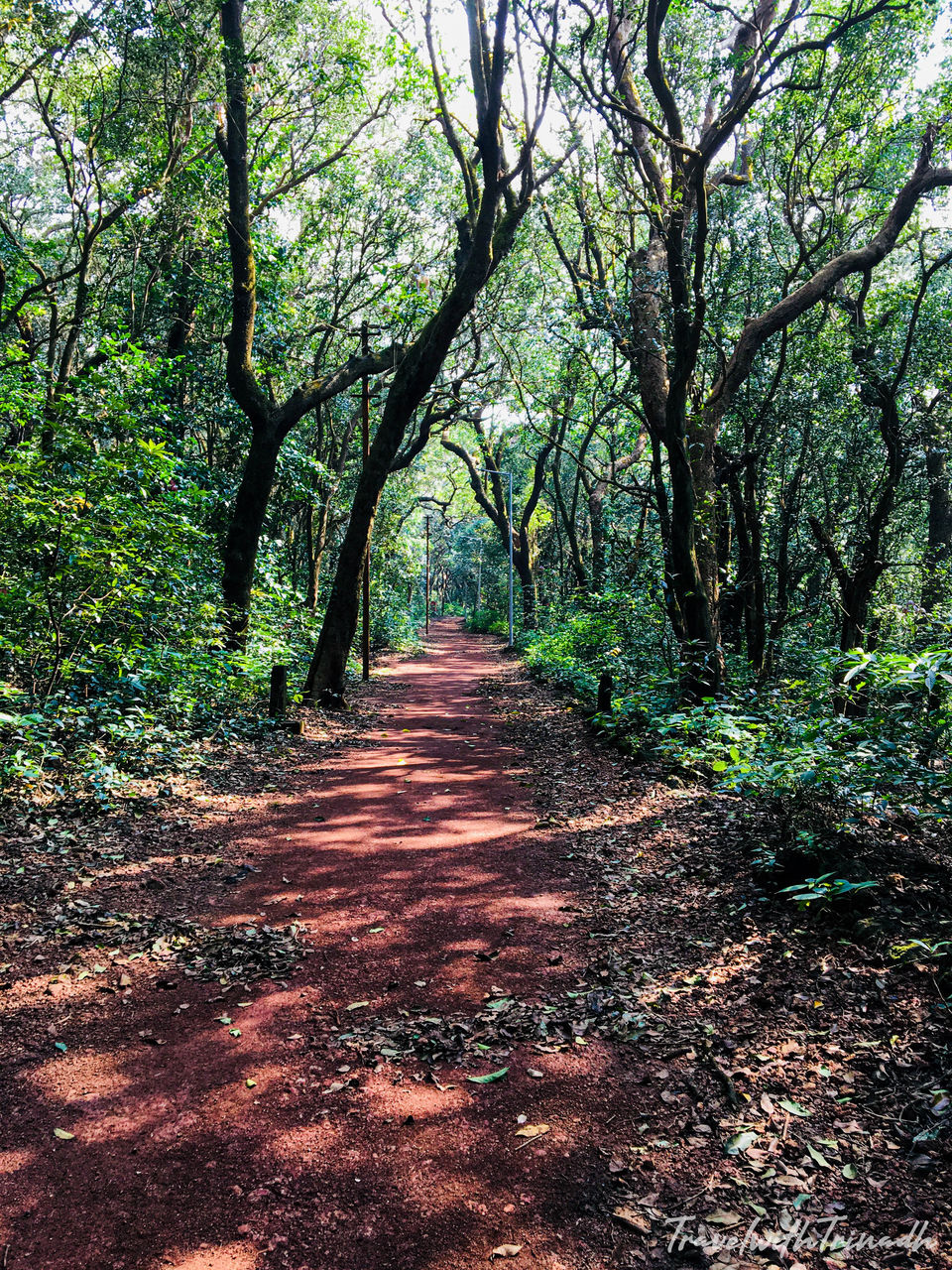 Photo of SAHYADRIS: THE BENEVOLENT MOUNTAINS -
Road Trip to Maharashtra 26/30 by Travel with Trinadh