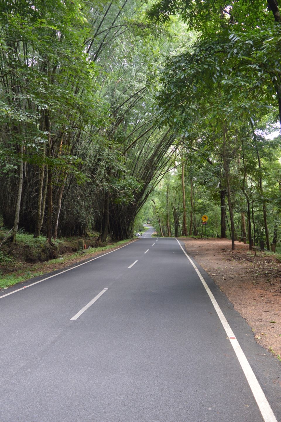 Photo of Valparai, Tamil Nadu, India by Siju Sebastian