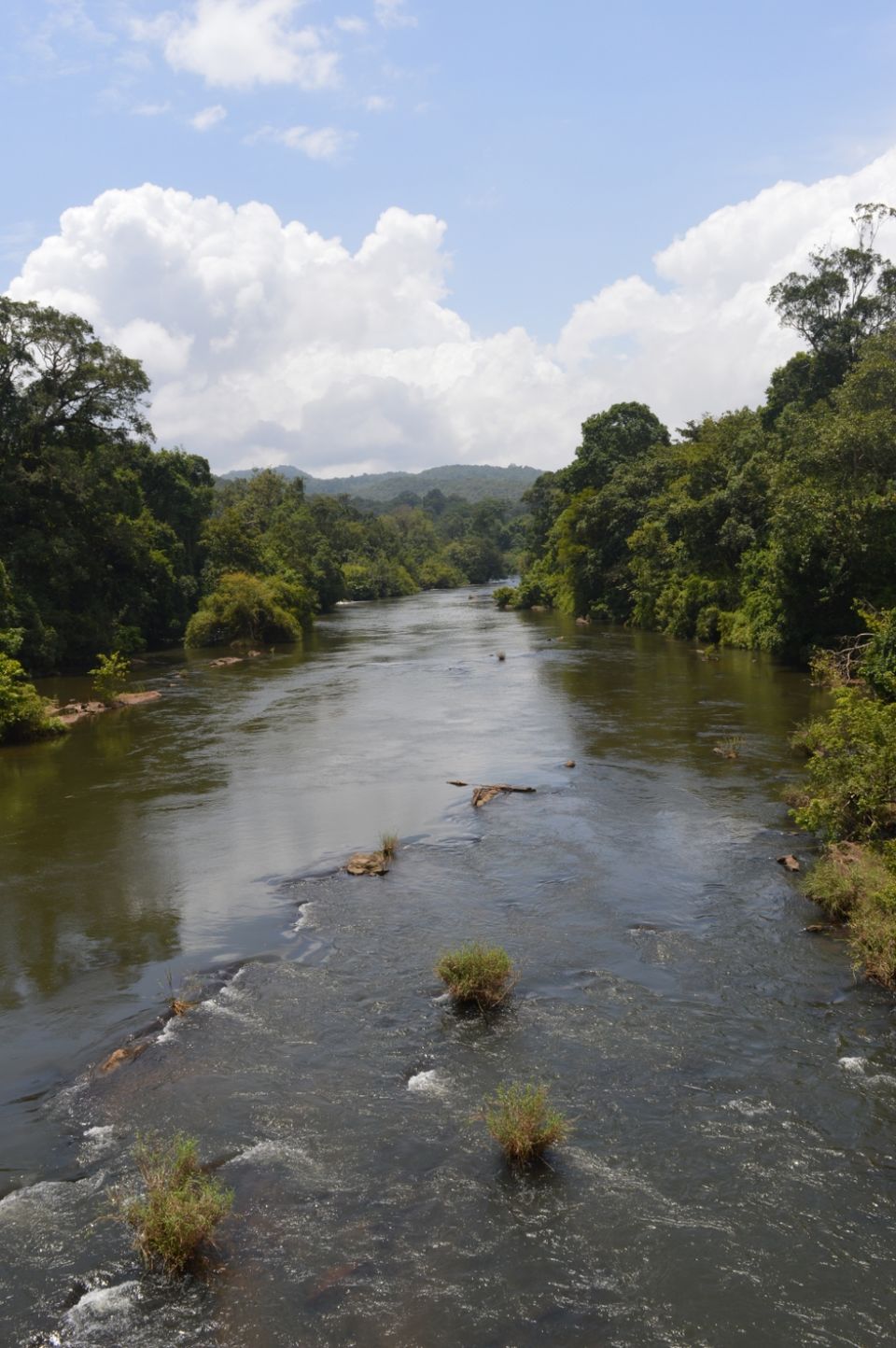 Photo of Valparai, Tamil Nadu, India by Siju Sebastian