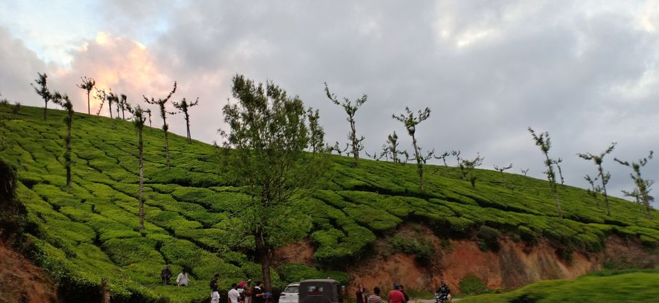 Photo of Valparai, Tamil Nadu, India by Siju Sebastian