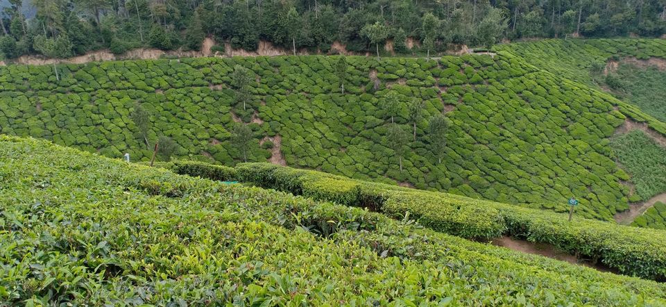 Photo of Valparai, Tamil Nadu, India by Siju Sebastian