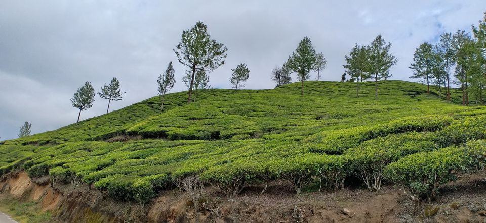 Photo of Valparai, Tamil Nadu, India by Siju Sebastian