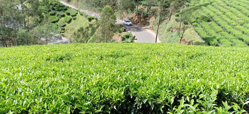 Photo of Valparai, Tamil Nadu, India by Siju Sebastian