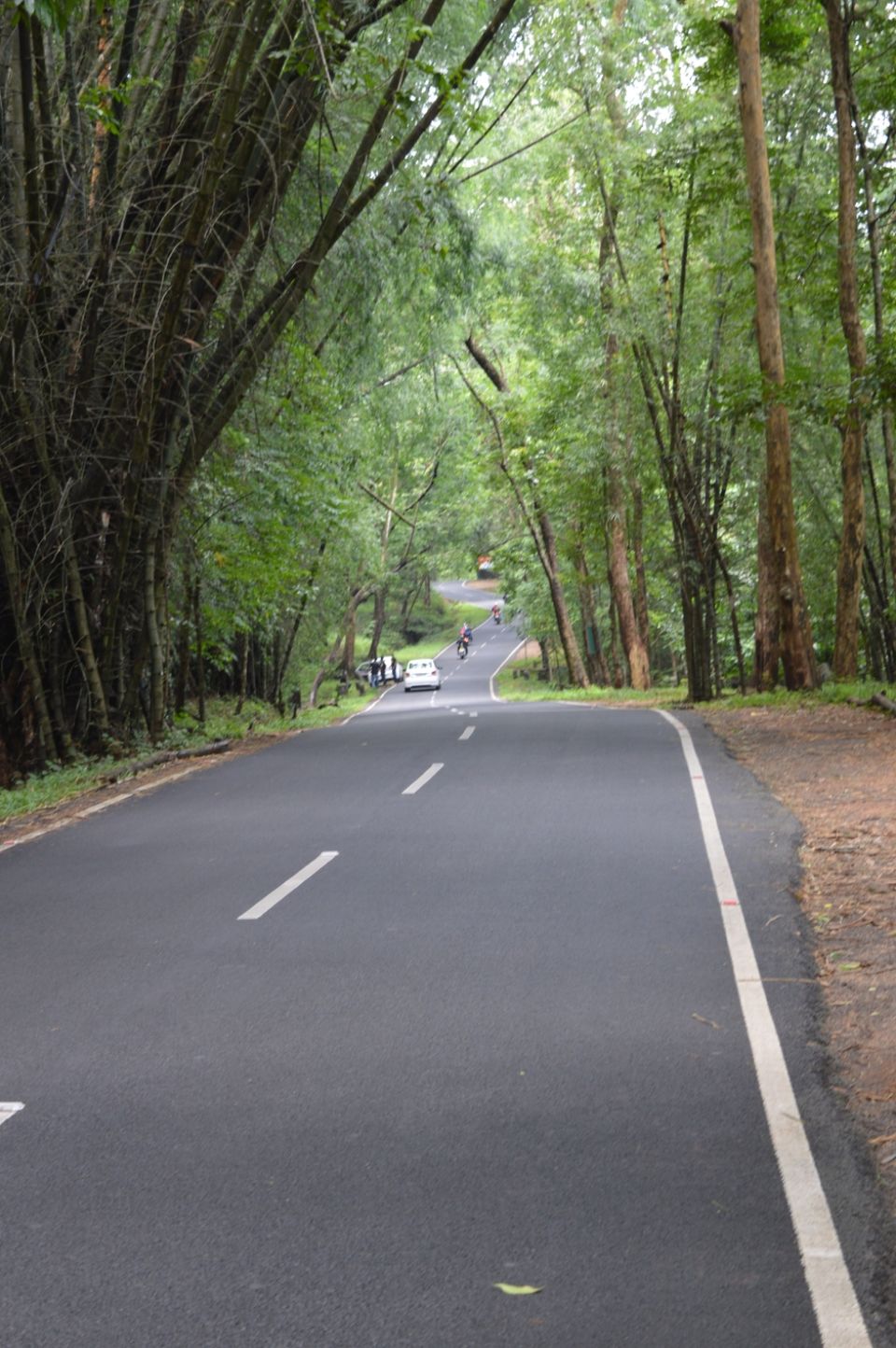 Photo of Valparai, Tamil Nadu, India by Siju Sebastian
