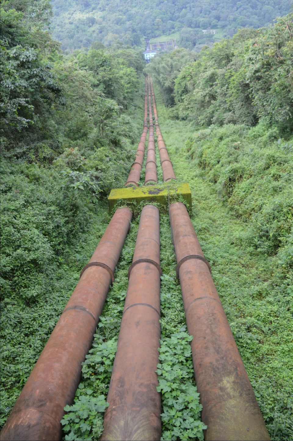 Photo of Valparai, Tamil Nadu, India by Siju Sebastian