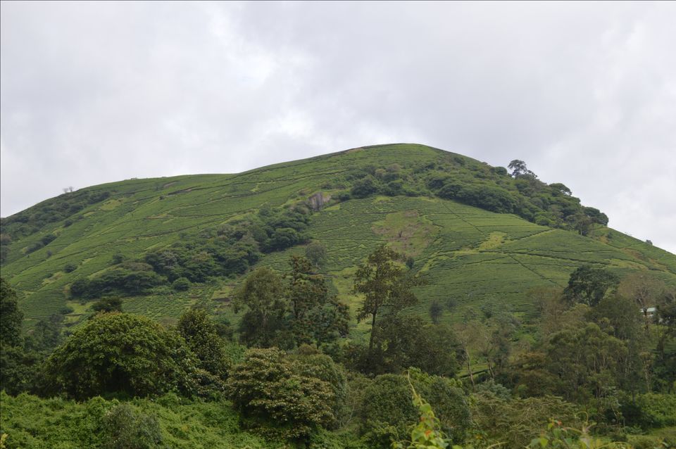 Photo of Valparai, Tamil Nadu, India by Siju Sebastian