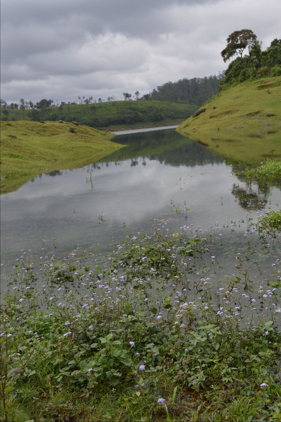 Photo of Valparai, Tamil Nadu, India by Siju Sebastian