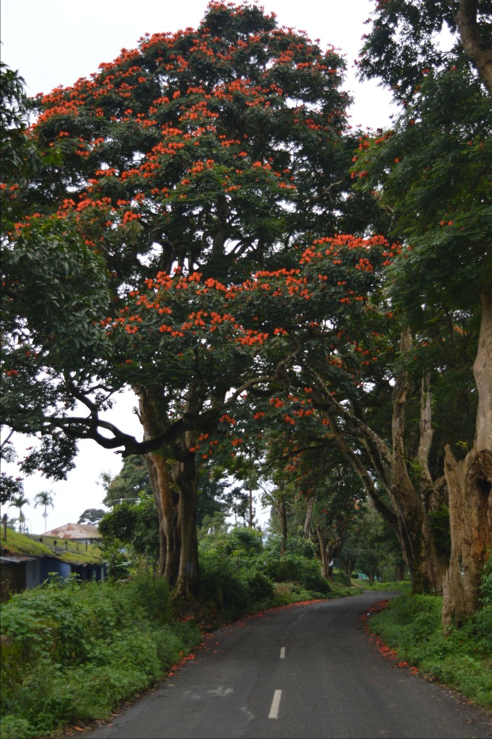 Photo of Valparai, Tamil Nadu, India by Siju Sebastian