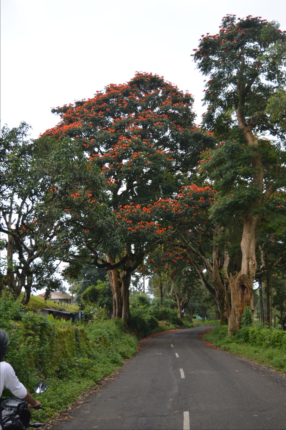 Photo of Valparai, Tamil Nadu, India by Siju Sebastian