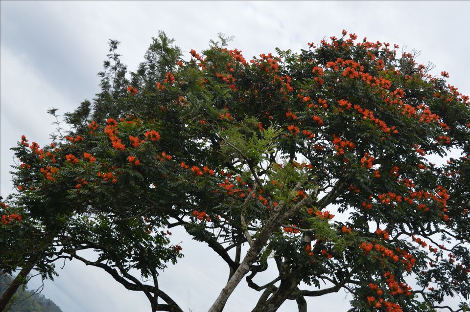 Photo of Valparai, Tamil Nadu, India by Siju Sebastian