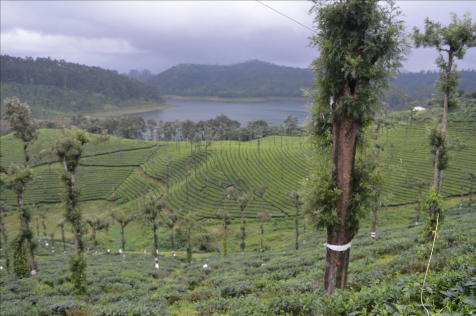 Photo of Valparai, Tamil Nadu, India by Siju Sebastian