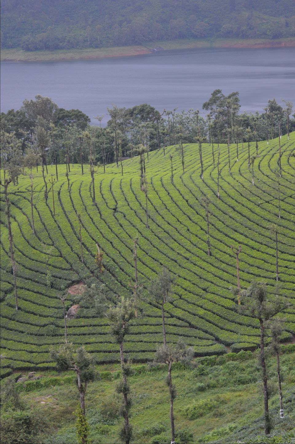 Photo of Valparai, Tamil Nadu, India by Siju Sebastian