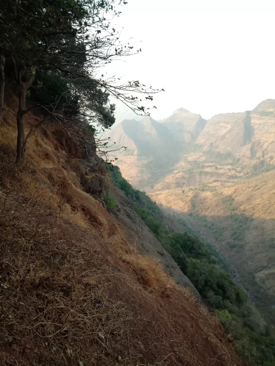 Photo of Matheran Hill Station by Amit Ratnani