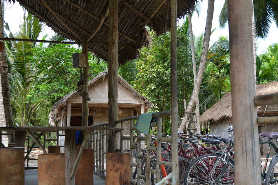 Photo of Neil Island, South Andaman, Andaman and Nicobar Islands, India by Anurag Kumar Dwivedi