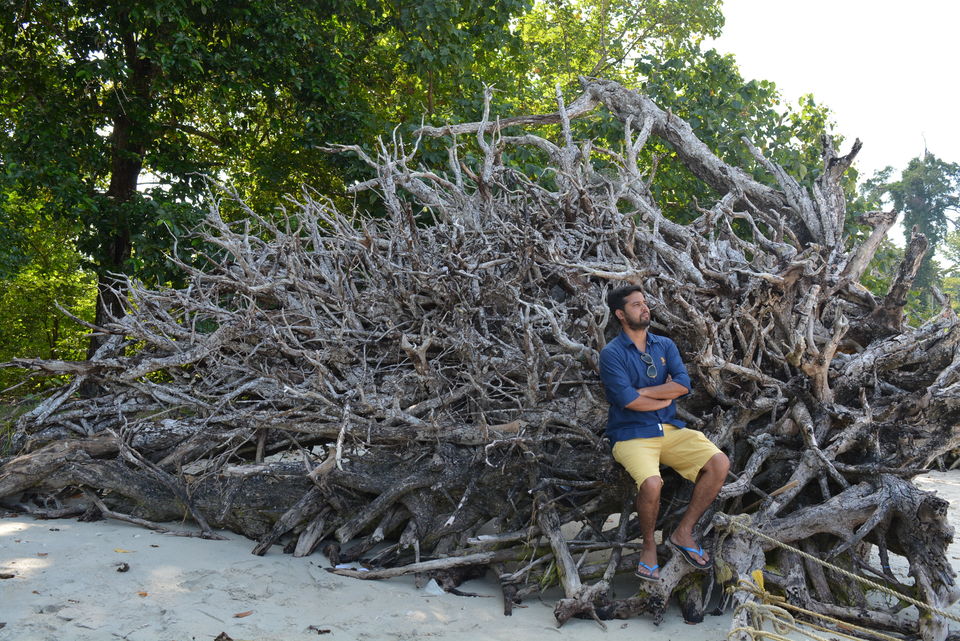 Photo of Havelock Island, South Andaman, Andaman and Nicobar Islands, India by Anurag Kumar Dwivedi