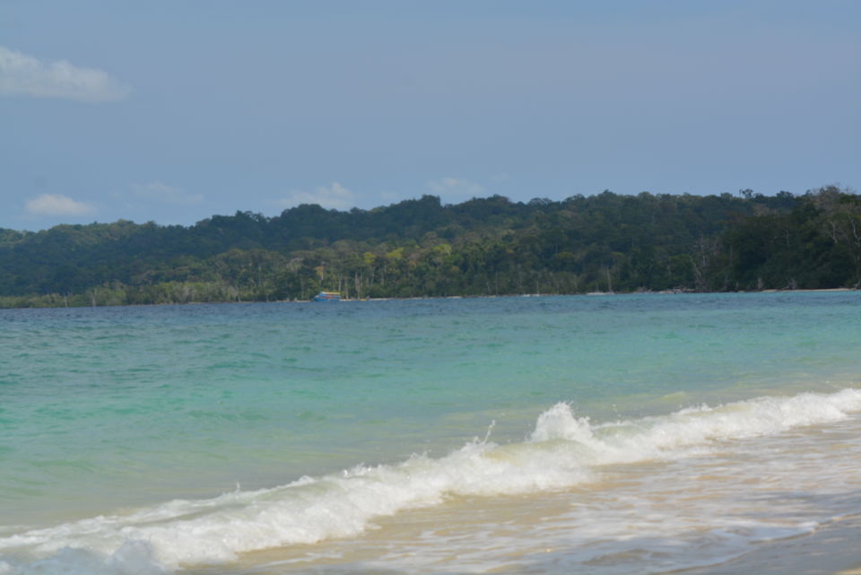 Photo of Havelock Island, South Andaman, Andaman and Nicobar Islands, India by Anurag Kumar Dwivedi