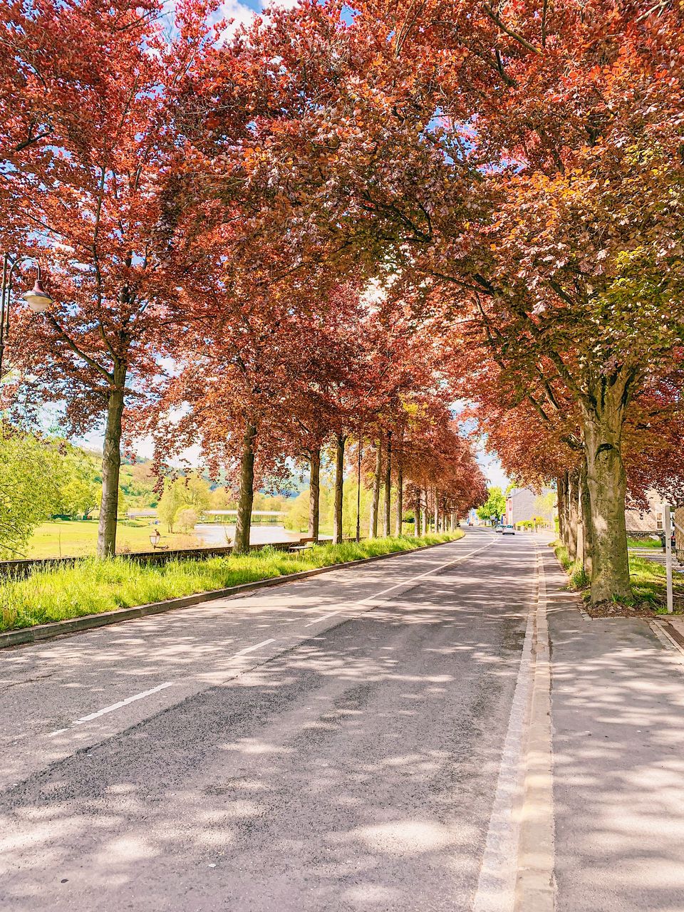 Photo of Diekirch, Luxembourg by The Chronicler
