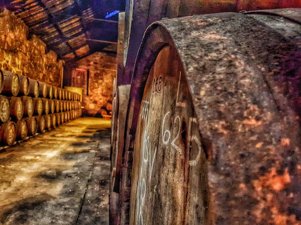 Photo of The Journey In Porto- A What to do in Porto List and on Shopping by The Chronicler