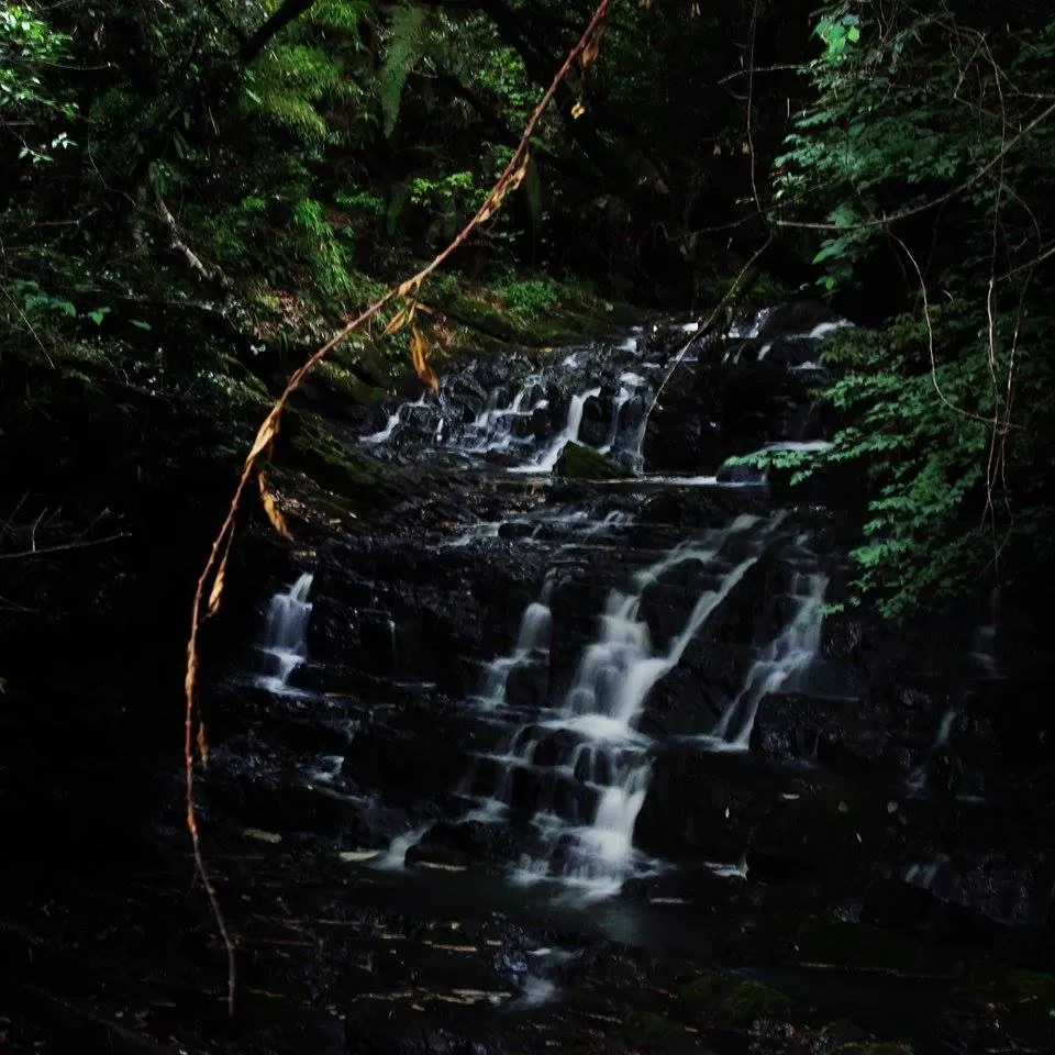Photo of Elephant Falls, Shillong, Meghalaya, India by Radhika Murthy