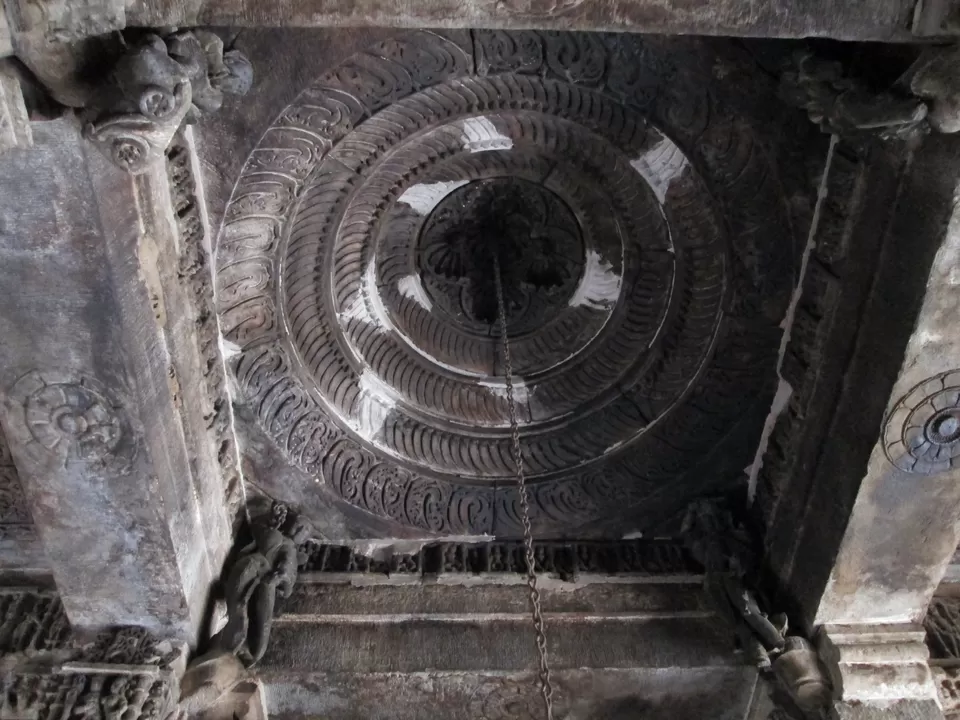 Photo of Sariska National Park, Alwar, Rajasthan, India by Radhika Murthy